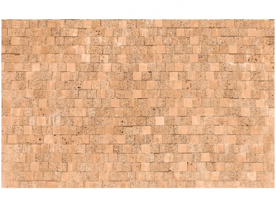 FOR WALL fototapetai 2320VE XXXL