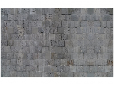 FOR WALL fototapetai 2321VE XXXL