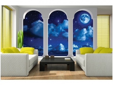 FOR WALL fototapetai 2346VE XXXL 1