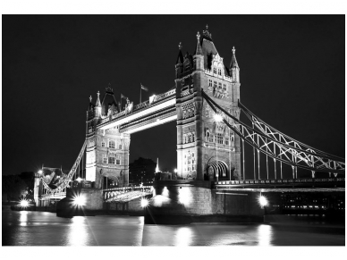 FOR WALL fototapetai 0235VE P8 FOR WALL fototapetai 0235VE P8