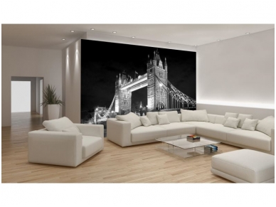 FOR WALL fototapetai 0235VE XXXL 1