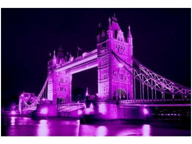 FOR WALL fototapetai 0237VE XXXL