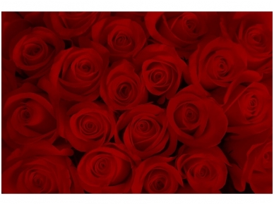 FOR WALL fototapetai 0240VE XXXL
