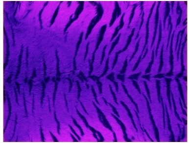 FOR WALL fototapetai 0241VE XXL FOR WALL fototapetai 0241VE XXL