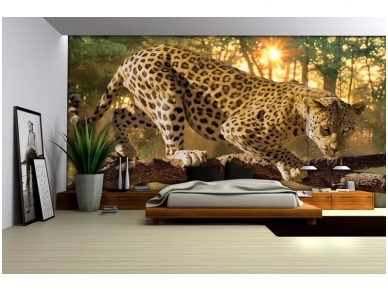 FOR WALL fototapetai 0242VE XL 1