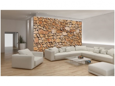 FOR WALL fototapetai 0243VE P8 2