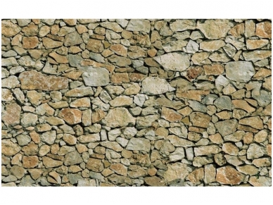 FOR WALL fototapetai 0244VE M
