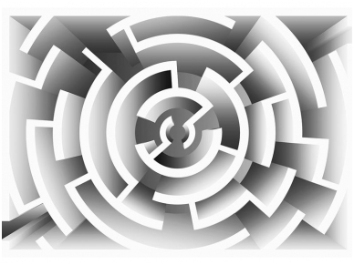 FOR WALL fototapetai 2452VE XXL