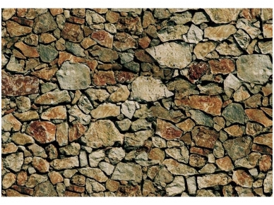 FOR WALL fototapetai 0245VE XXXL