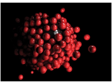 FOR WALL fototapetai 2506VE XXL