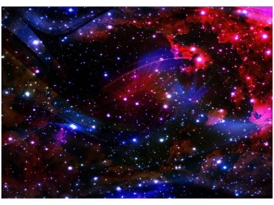 FOR WALL fototapetai 2515VE P8
