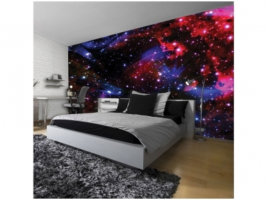 FOR WALL fototapetai 2515VE P8 1