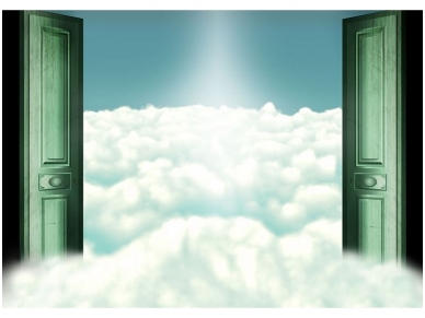 FOR WALL fototapetai 2555VE XXL