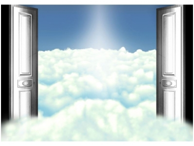 FOR WALL fototapetai 2556VE XXL