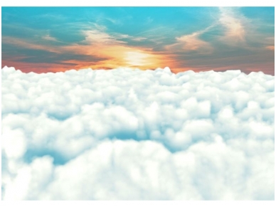 FOR WALL fototapetai 2557VE P8