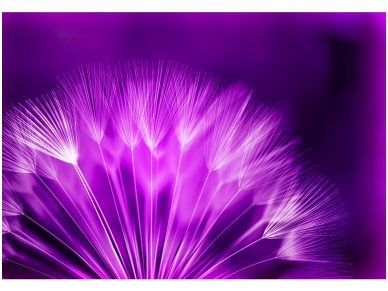 FOR WALL fototapetai 0257VE P4 FOR WALL fototapetai 0257VE P4