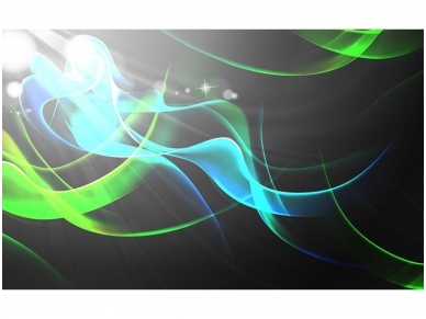 FOR WALL fototapetai 2588VE XXL