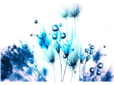 FOR WALL fototapetai 0258VE XXXL