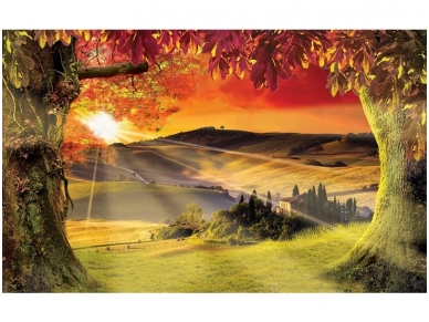 FOR WALL fototapetai 2599VE P8