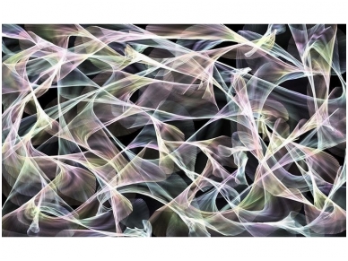 FOR WALL fototapetai 2609VE XXXL