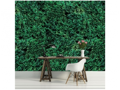 FOR WALL fototapetai 2623VE XXXL 1