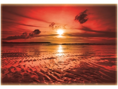FOR WALL fototapetai 0262VE XXXL FOR WALL fototapetai 0262VE XXXL