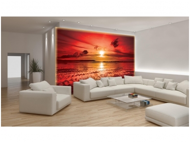FOR WALL fototapetai 0262VE XXXL 1
