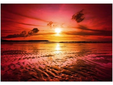 FOR WALL fototapetai 0263VE P4