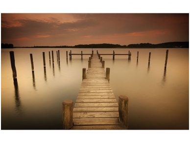FOR WALL fototapetai 2654VE XXXL