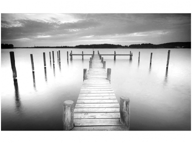 FOR WALL fototapetai 2655VE XXL