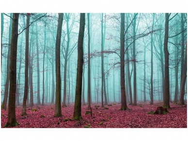 FOR WALL fototapetai 2657VE XXXL