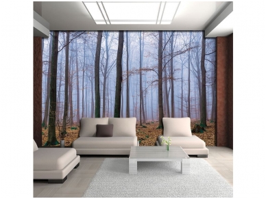 FOR WALL fototapetai 2658VE XXXL 1