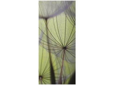 FOR WALL fototapetai 0271VET