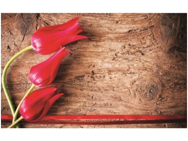 FOR WALL fototapetai 0272VE P8