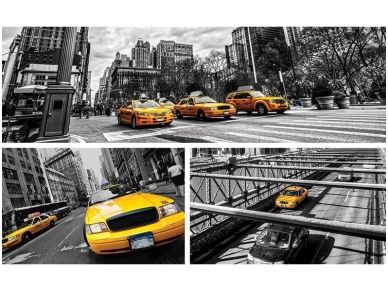 FOR WALL fototapetai 2767VE XXL