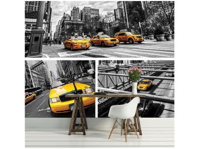 FOR WALL fototapetai 2767VE XXL 1