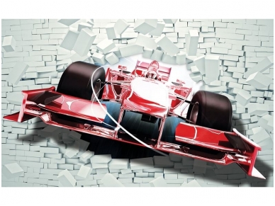 FOR WALL fototapetai 2774VE XXL