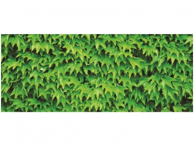 FOR WALL fototapetai 0279VEP