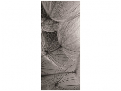 FOR WALL fototapetai 0281VET