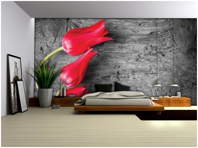 FOR WALL fototapetai 0282VE XL 1