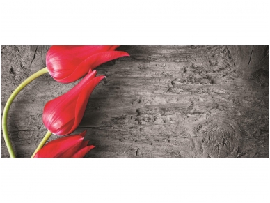 FOR WALL fototapetai 0282VEP