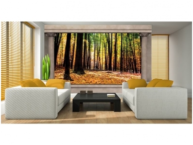 FOR WALL fototapetai 2865VE XXXL 1