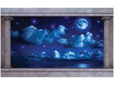 FOR WALL fototapetai 2873VE XXL