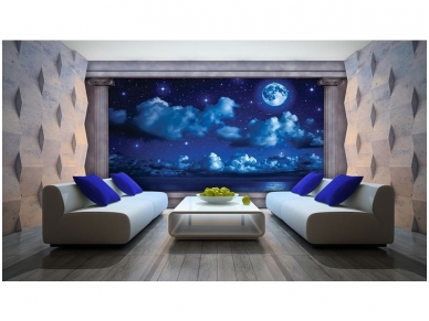 FOR WALL fototapetai 2873VE XXXL 1