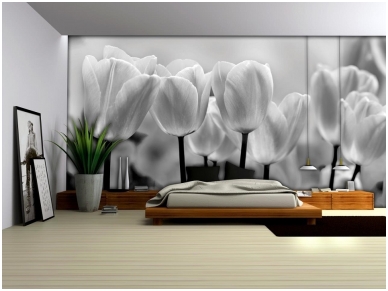 FOR WALL fototapetai 0287VE XL 1