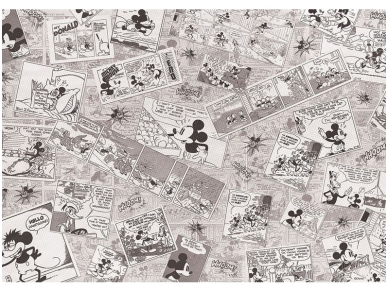 FOR WALL fototapetai 2885VE XXL