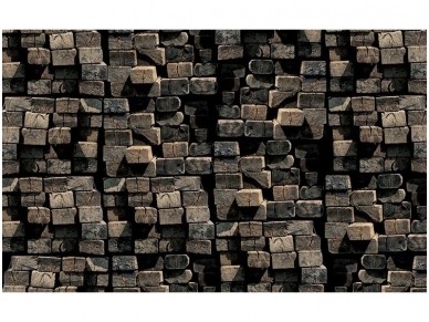 FOR WALL fototapetai 2913VE XXL