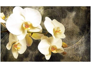 FOR WALL fototapetai 2948VE XXXL FOR WALL fototapetai 2948VE XXXL
