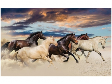 FOR WALL fototapetai 2964VE XXXL