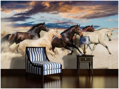 FOR WALL fototapetai 2964VE XXXL 1